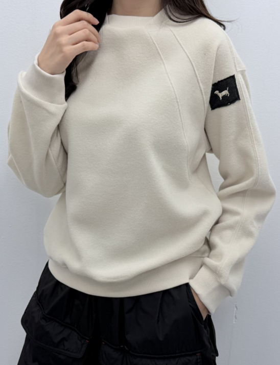 테리골지배색티